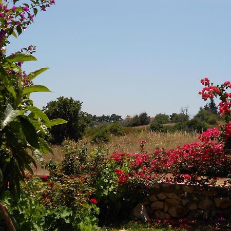 Livadaki Village Hotel Skala  외부 사진