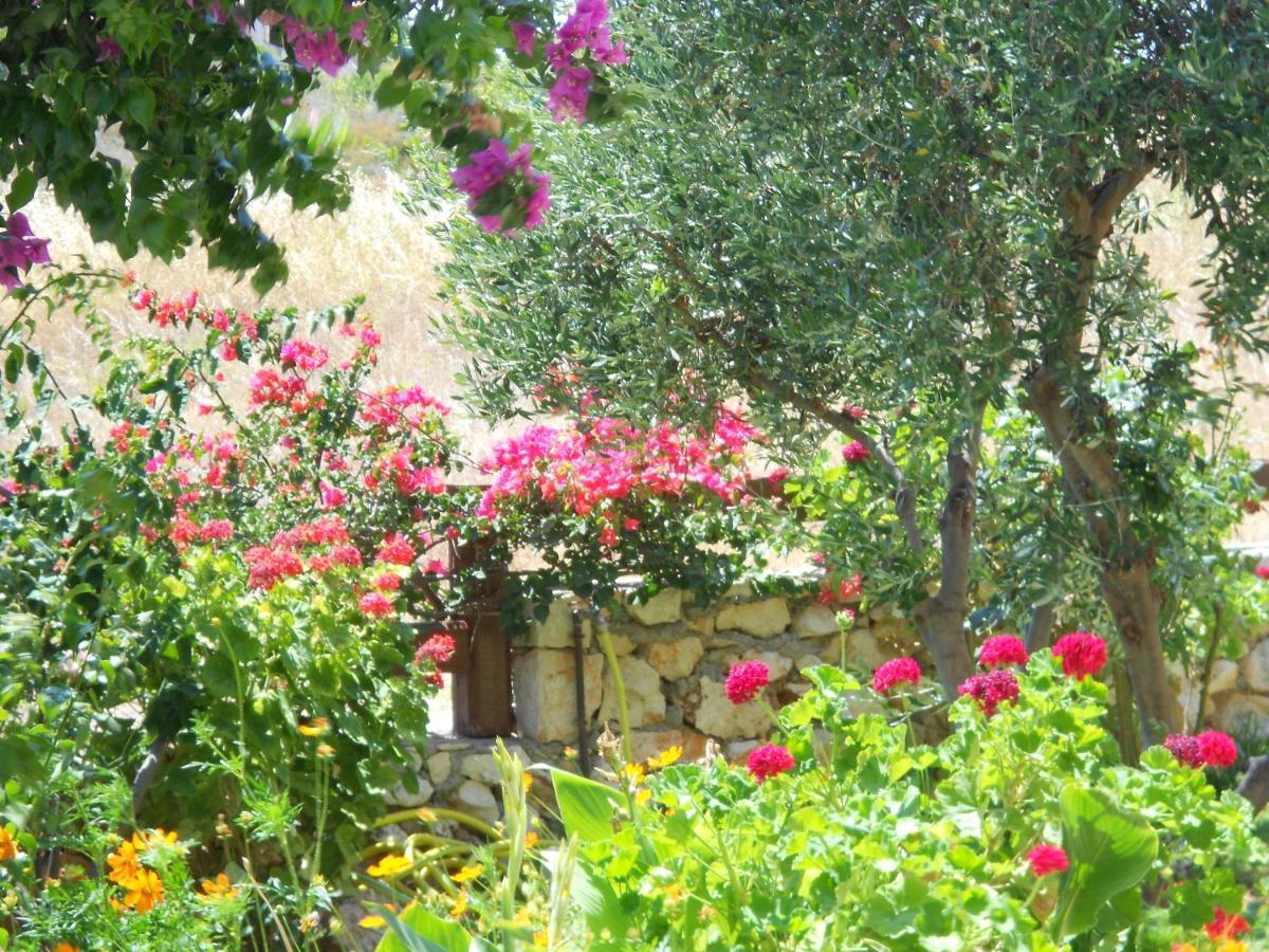 Livadaki Village Hotel Skala  외부 사진