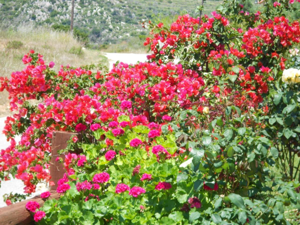 Livadaki Village Hotel Skala  외부 사진
